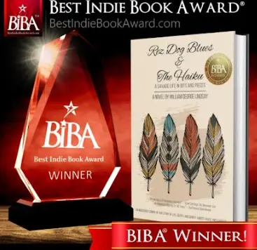 Best Indie Book Award winner graphic with trophy and book